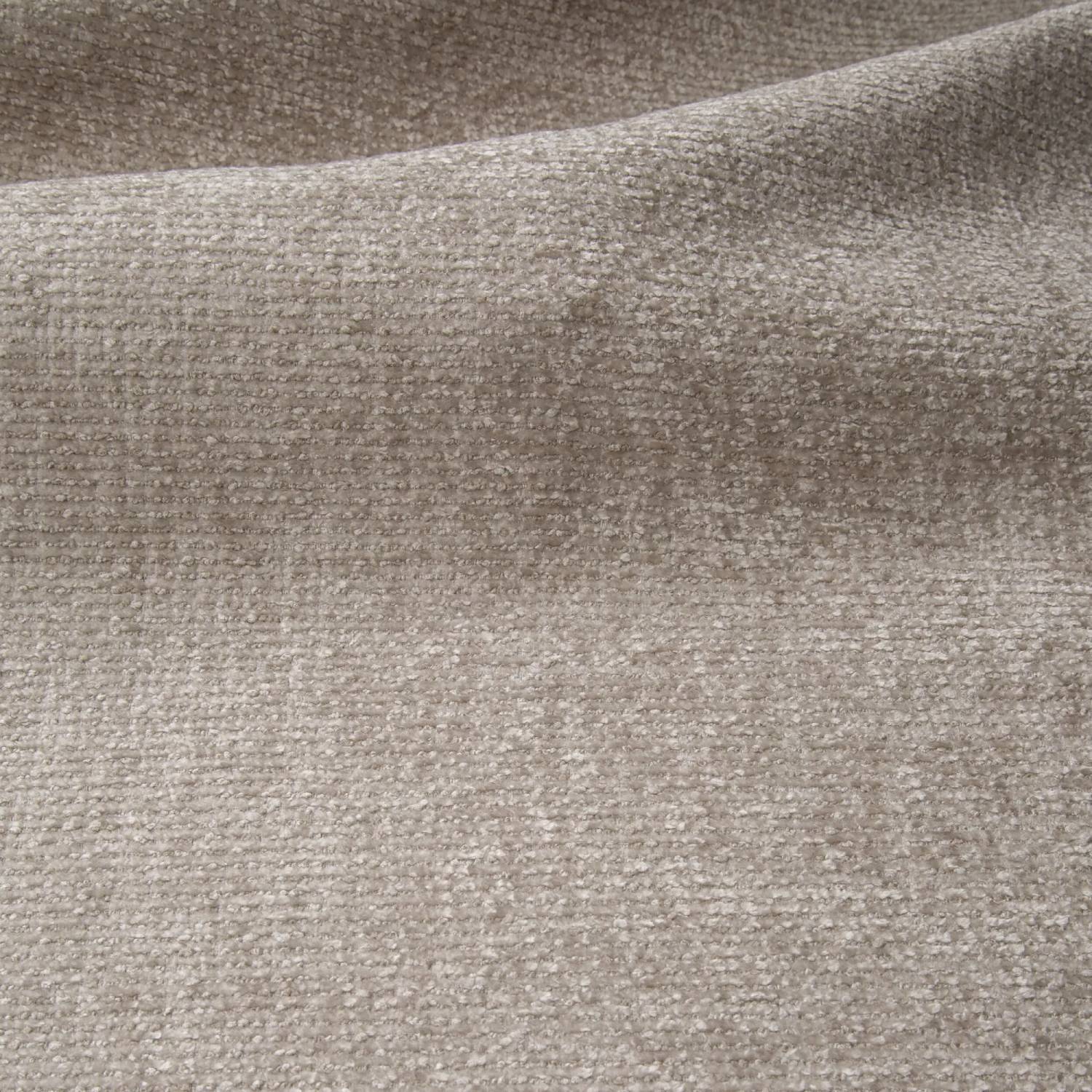 Genesis Genesis 03 Dove