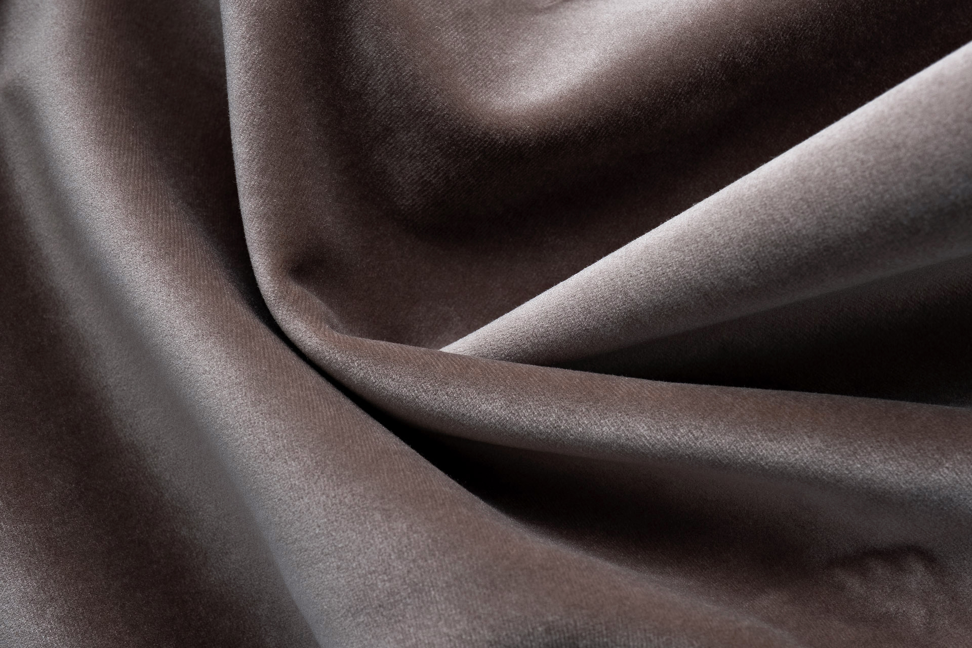 Paddington Paddington 08