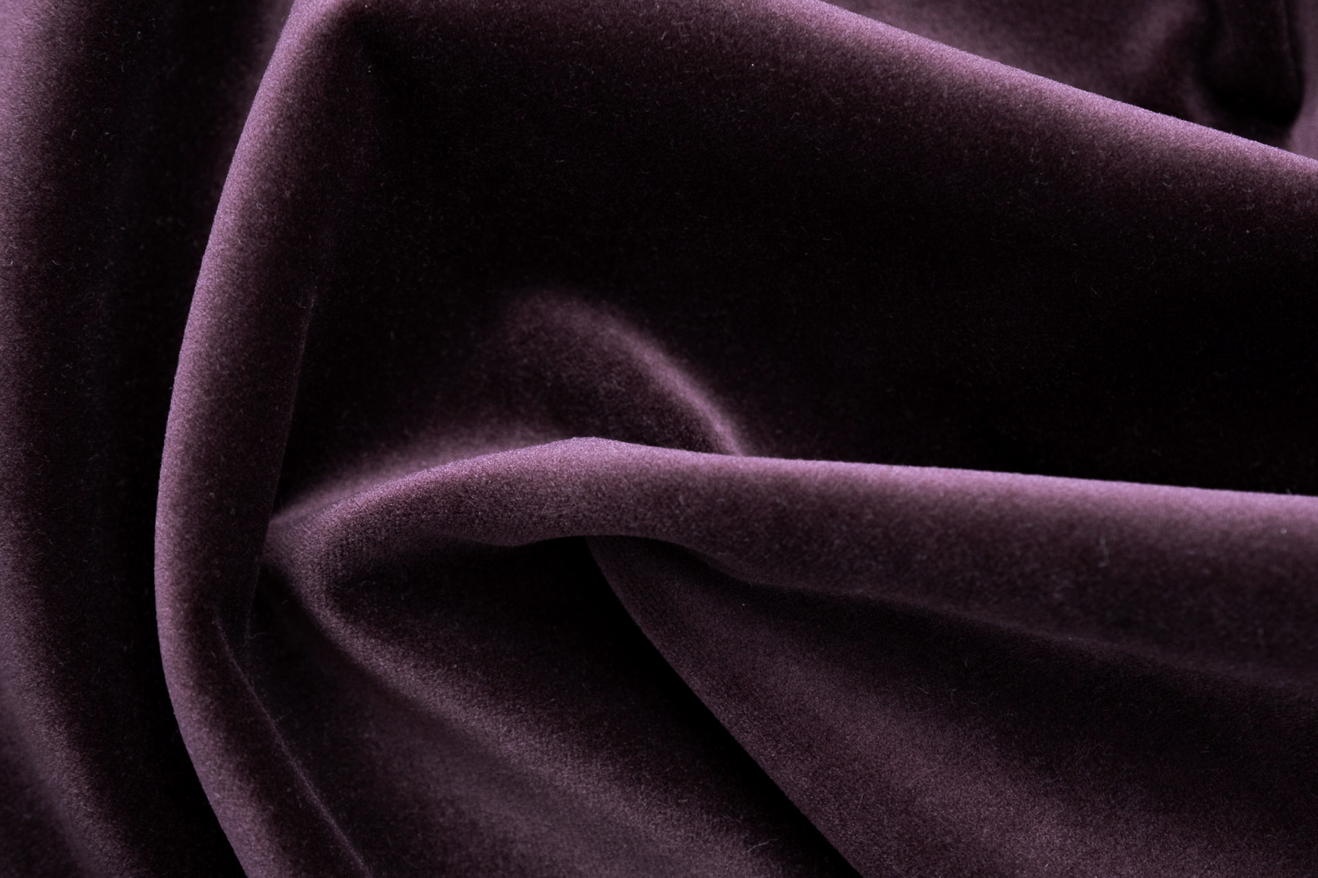 Paddington Paddington 37