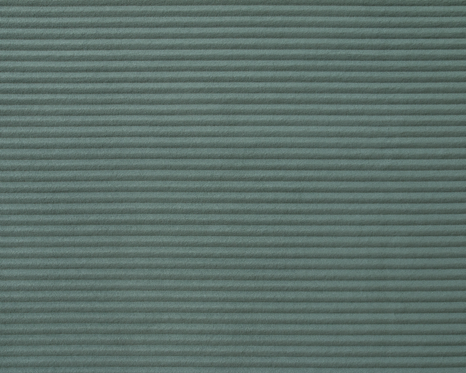 Cilium CILIUM FOREST