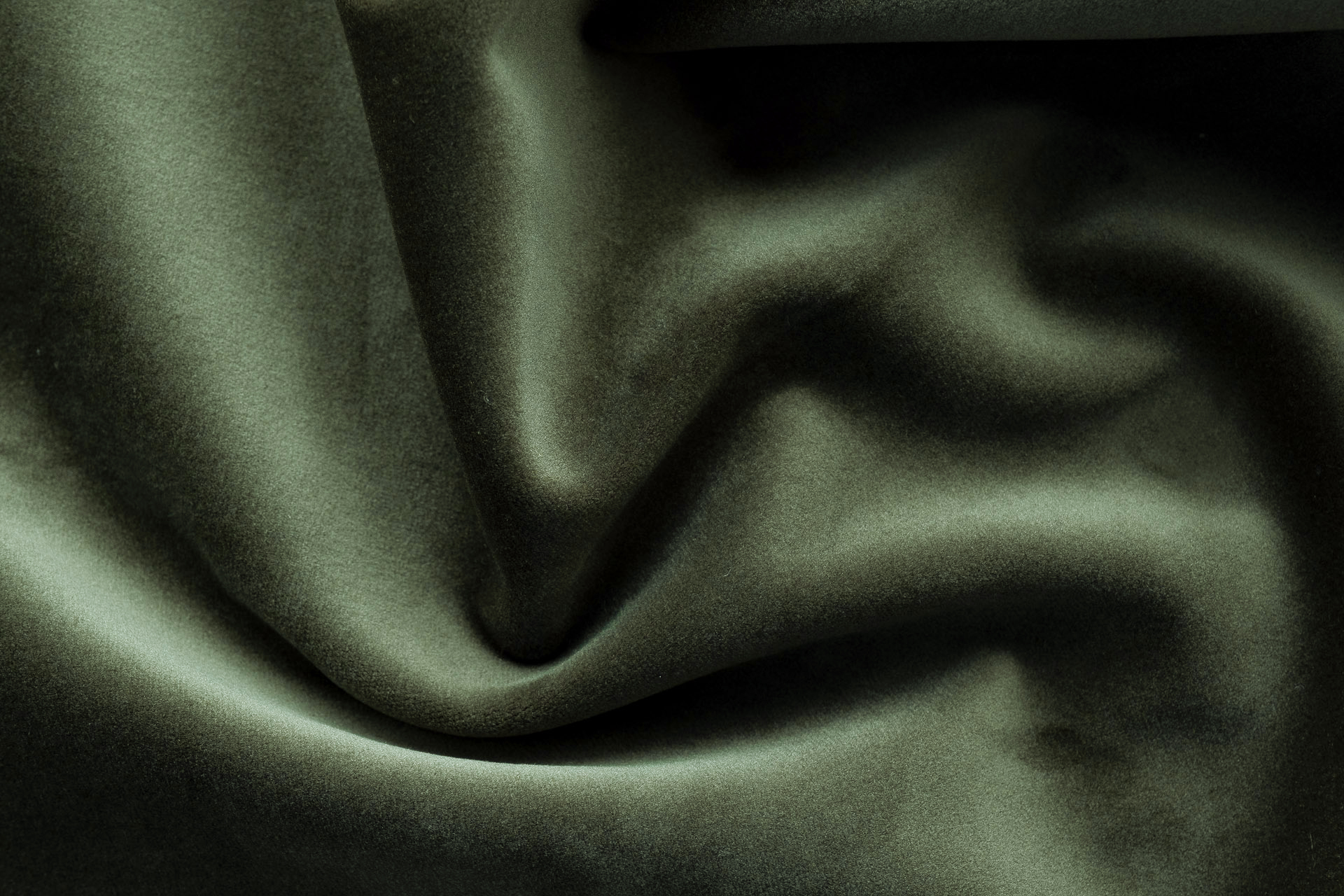 Paddington Paddington 19