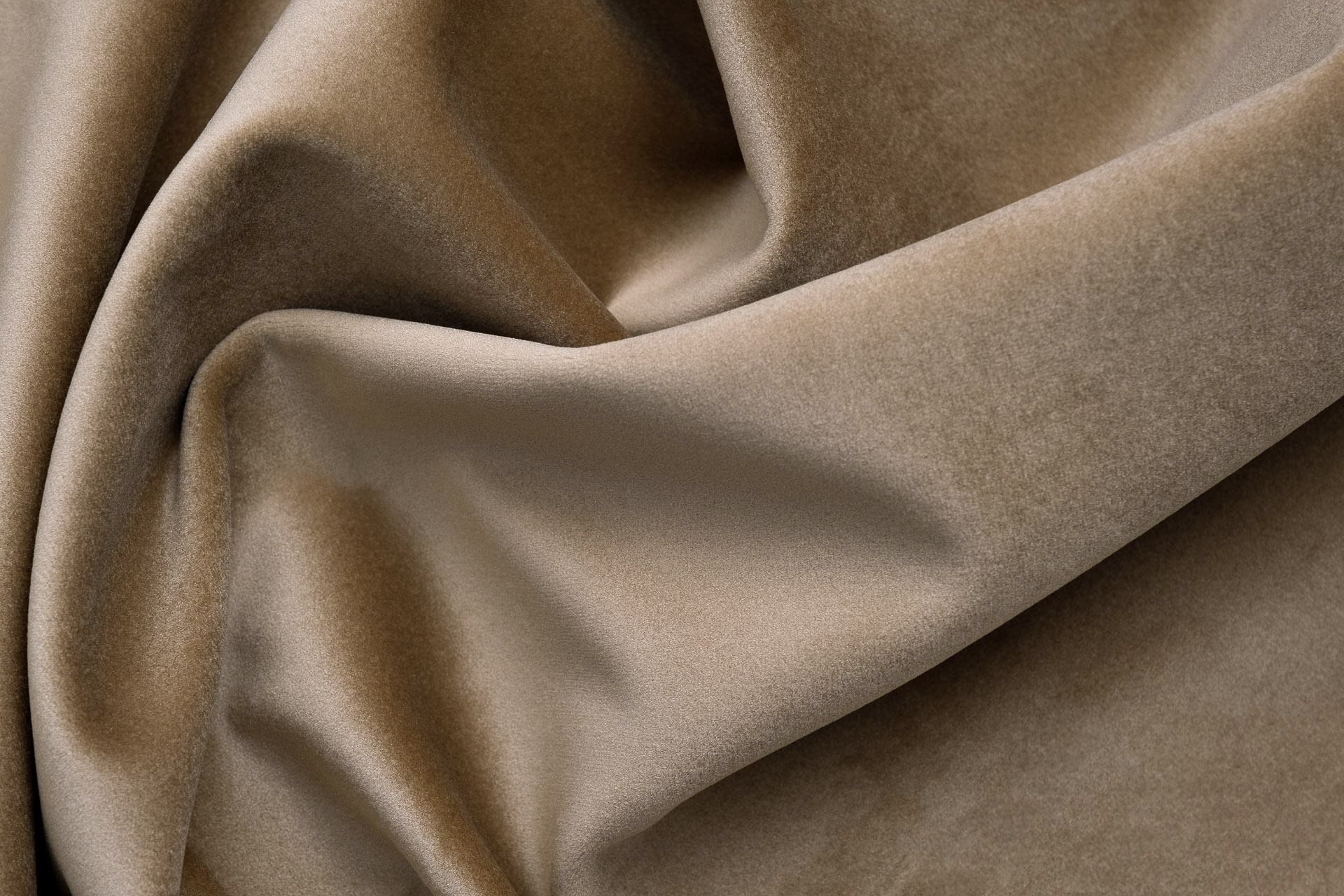 Paddington Paddington 15