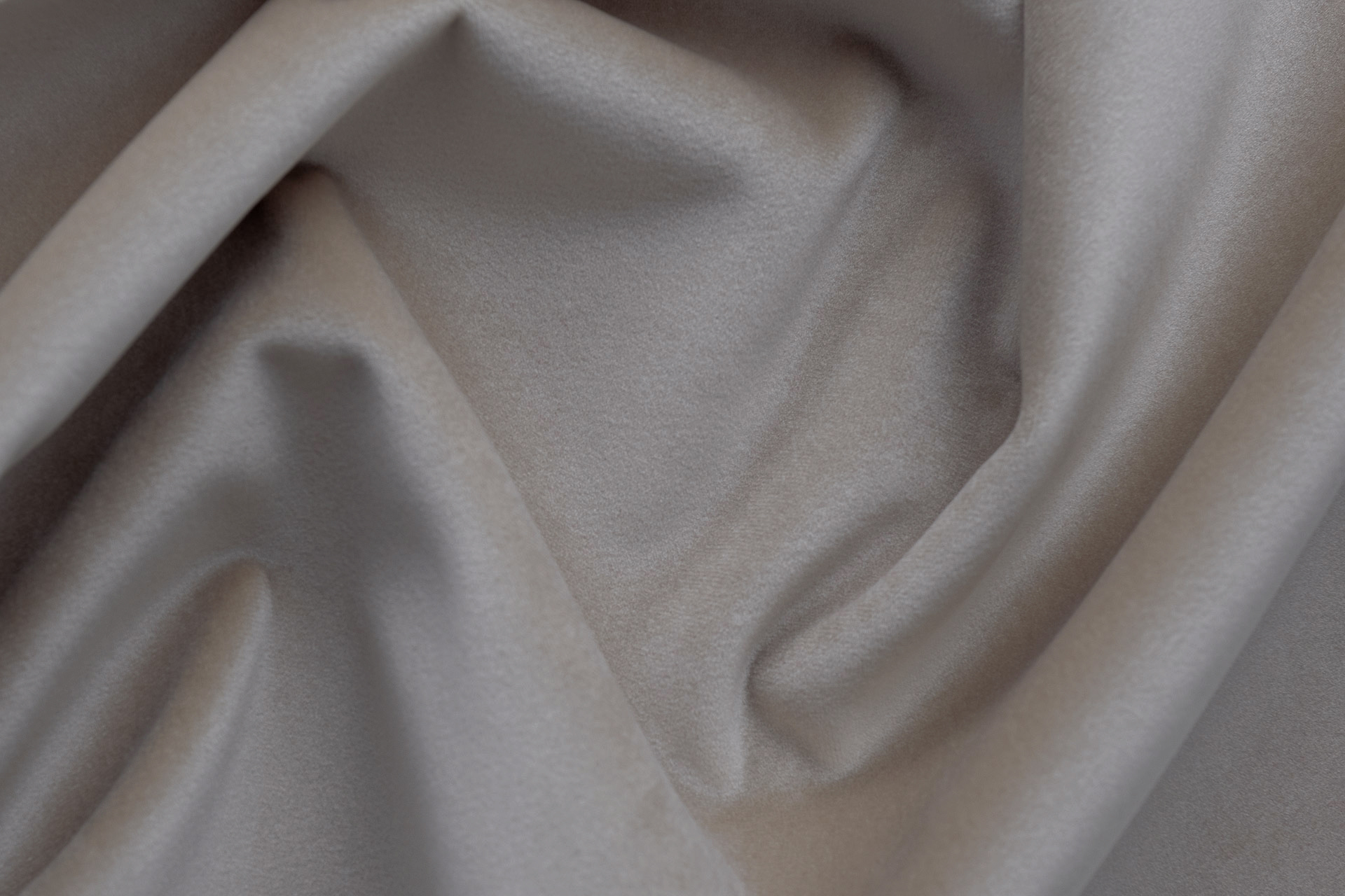 Paddington Paddington 05