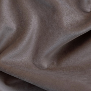 Paddington Paddington 07