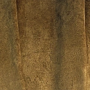 Bourgeois Bourgeois Curry