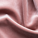 Paddington Paddington 11